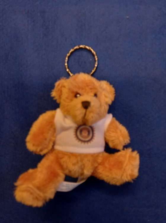 Teddy Keyring