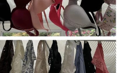 100 for 100 Lingerie Collected D12