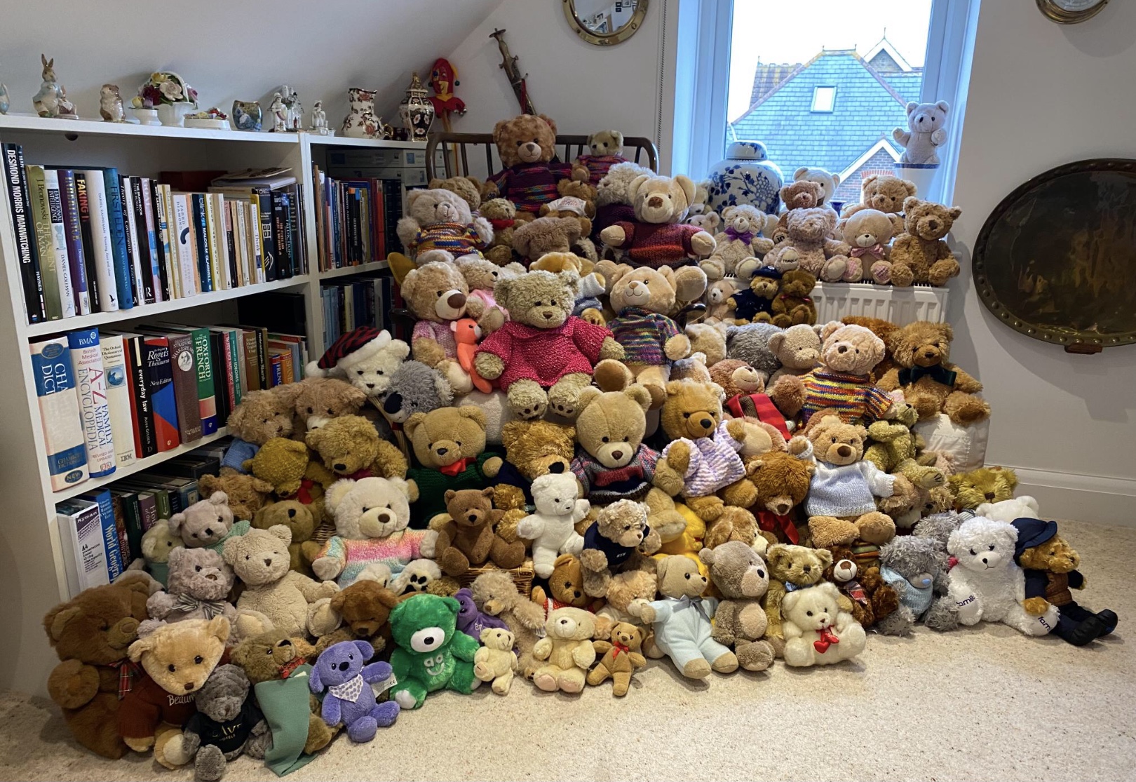 DD12_2024_Canterbury Teddy Collection
