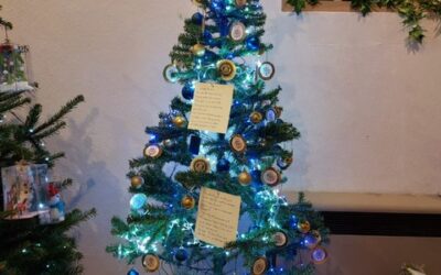 D5 IW Marple and Goyt Valley Christmas Tree