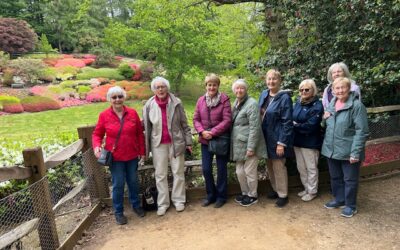 D9 Reading Maiden Erlegh Day Out