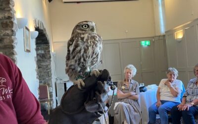 D10 Thornbury Birds Of Prey Speaker