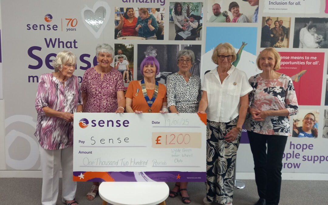 D6 Wylde Green: Visit to SENSE