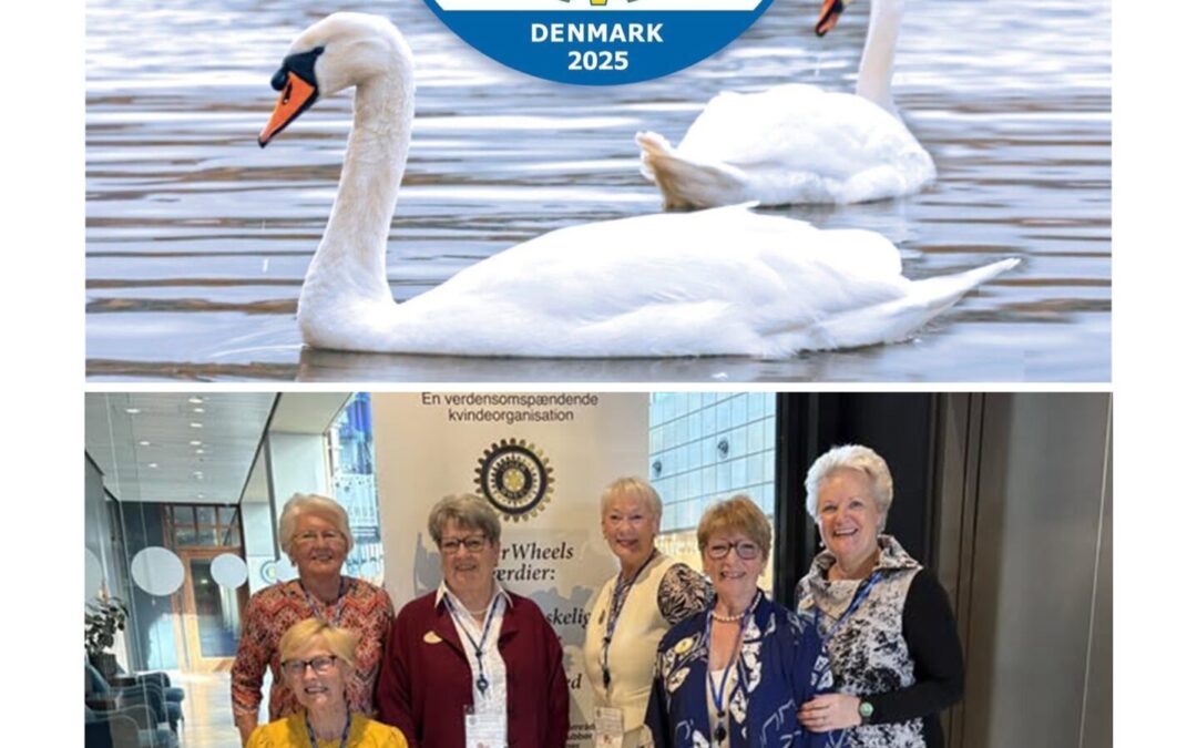 D1 European Rally Denmark