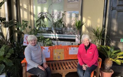 D5 IW Buxton Orange the World Bench