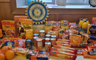 D2 – Orange the World – Motherwell & Wishaw