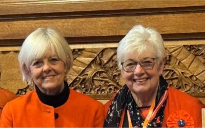 OtW team launch campaign at The House of Lords