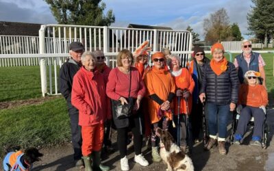 D10 – Hereford Wye Valley – Sponsored Walk Orange the World