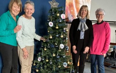 D10 Royal Forest of Dean – Christmas Tree Decorating