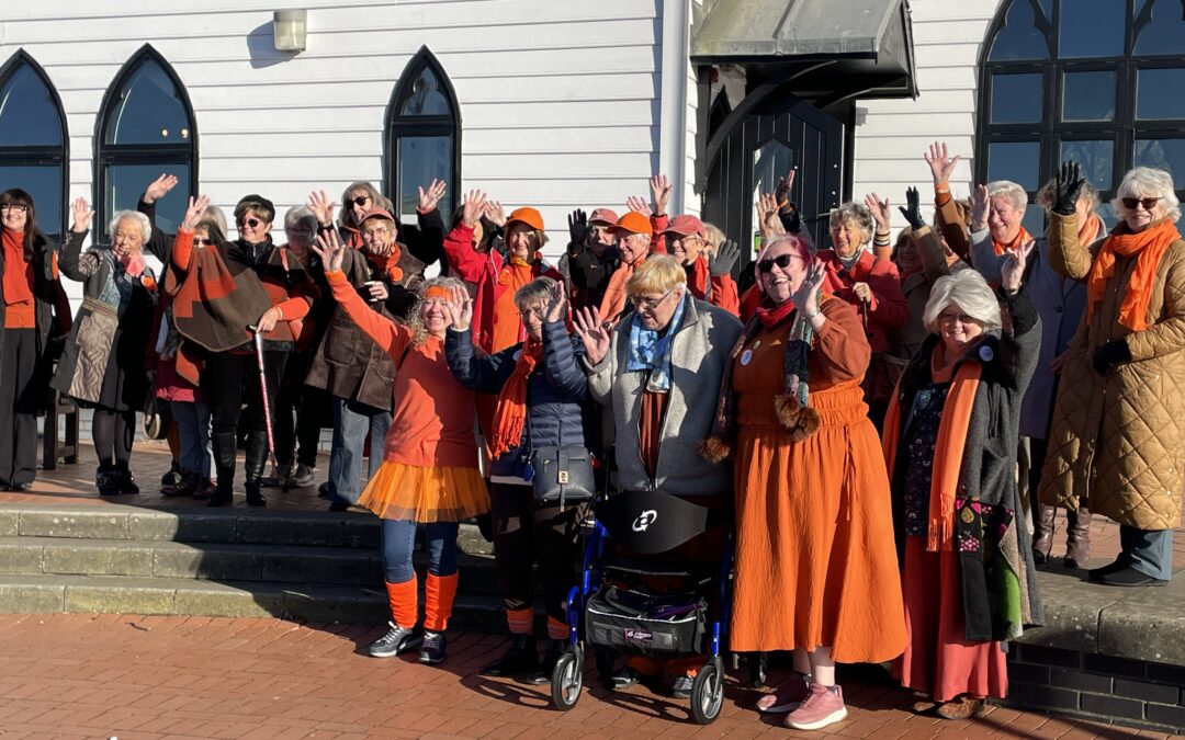 D15 Orange the World Walk