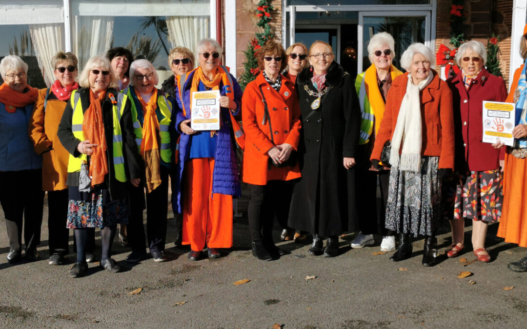 D17 Orange the World Walk and Rally 2025