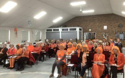 D22 Who says we don’t wear orange