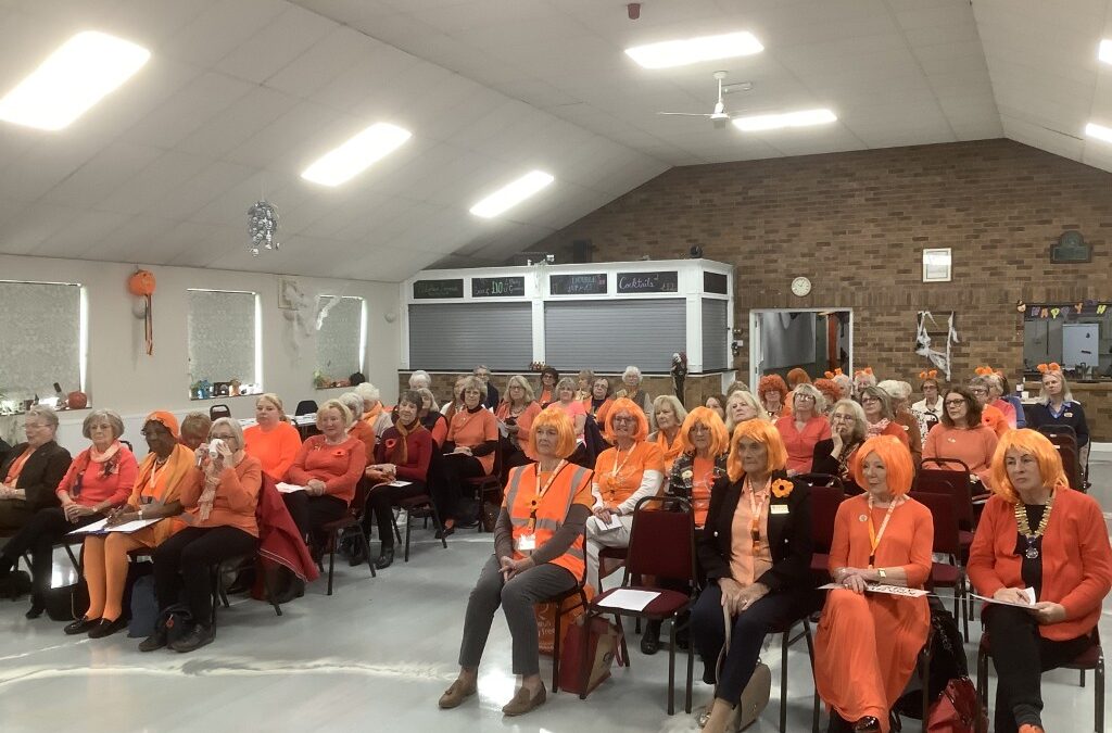 D22 District Meeting – Orange the World