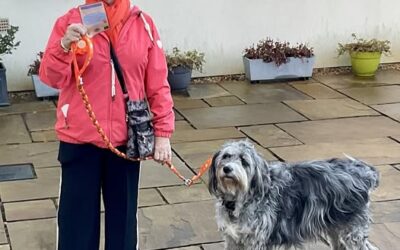 D1 – Stirling Club – Storm gets in on the act!