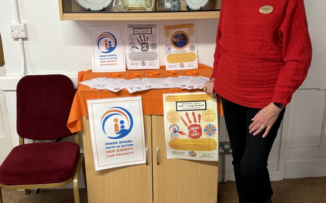 D5 IW Marple and Goyt Valley Orange the World Display