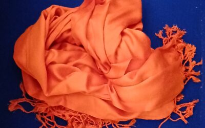 D20 – Chard hold an orange Bingo