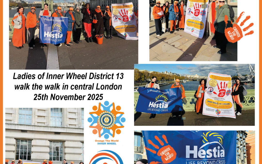 D13 – Walk for Orange the World