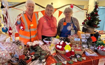 D20 – Sedgemoor orange their stall