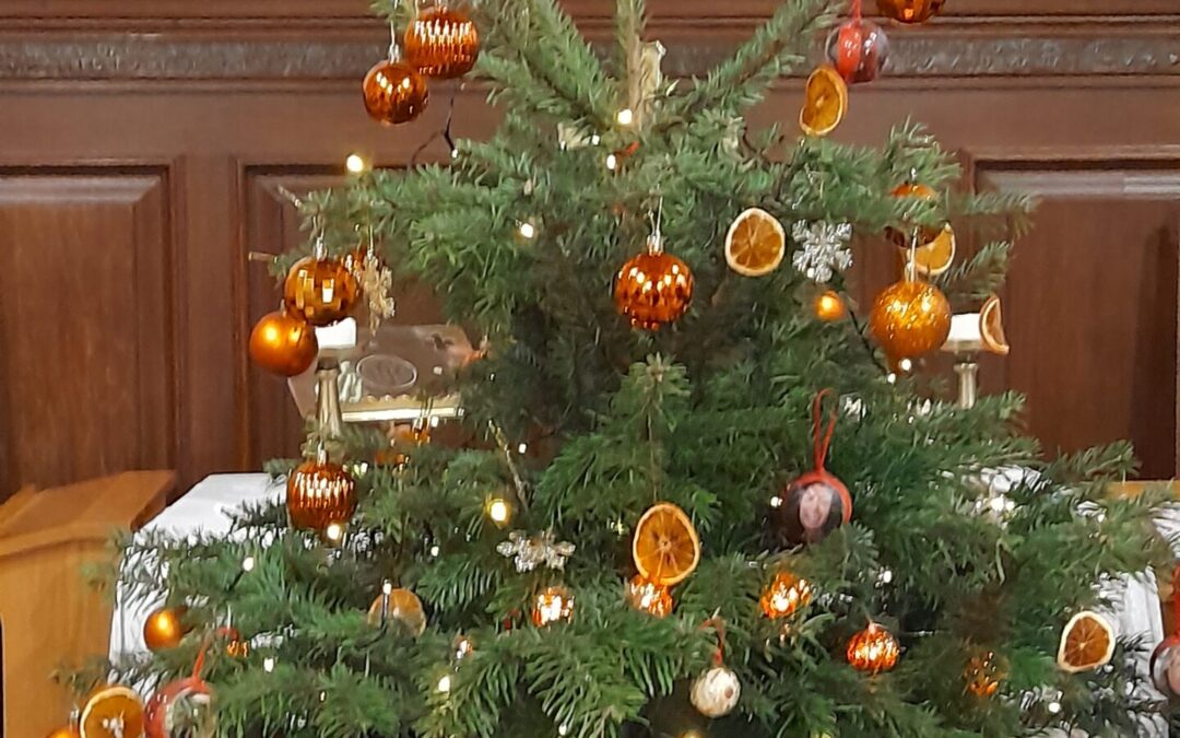 D128 – Newton & District support Orange the World