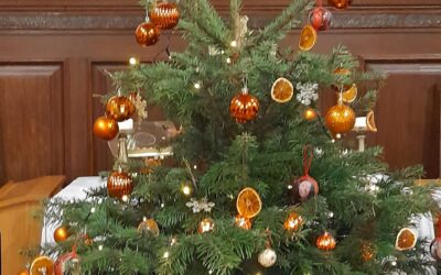 D128 – Newton & District support Orange the World