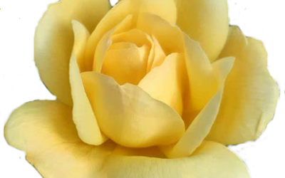 D21 – APP Norma Friar acknowledged