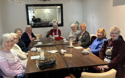 D15 Carmarthen celebrate Inner Wheel Day