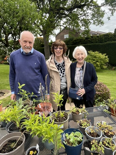 D5 IW Hazel Grove Annual Plant Sale